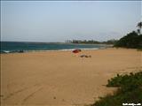 Shore Island Beach   - ISABELA